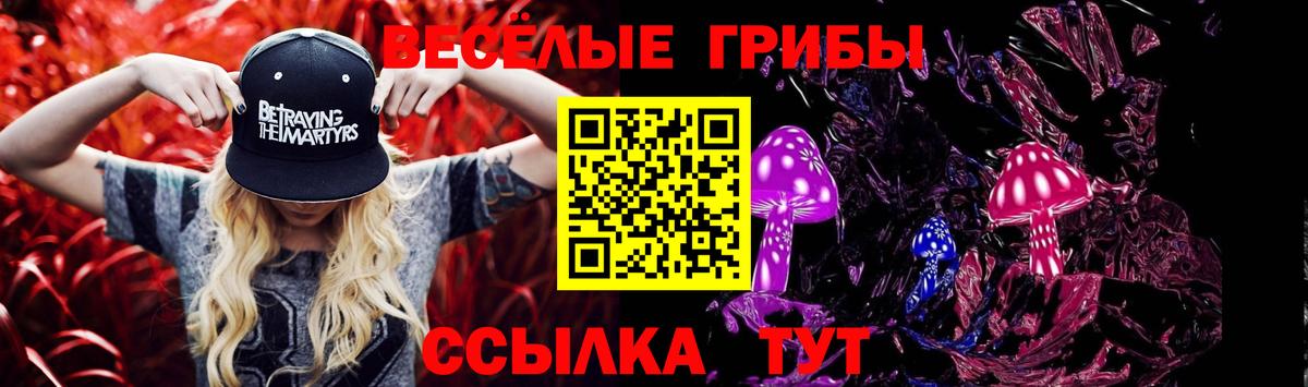 Красноярск  Псилоцибиновые грибы ЛСД  продажа наркотиков  Вход с VPN 